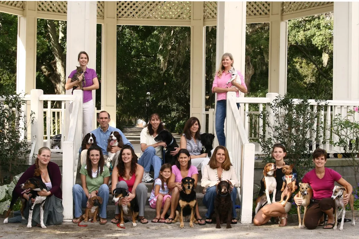 Charleston Veterinary Referral: Cocchlaro Michael DVM