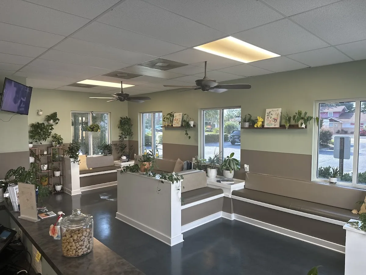 Charleston Veterinary Referral: Sachs David DVM