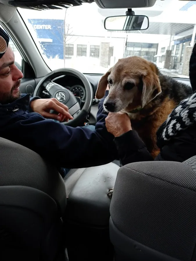 Chicago Veterinary Emergency Center and Specialty Care