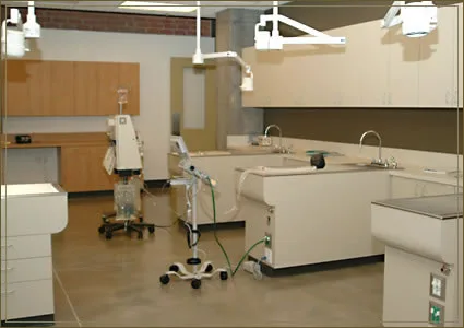 City of Angels Veterinary Specialty Center primary photo