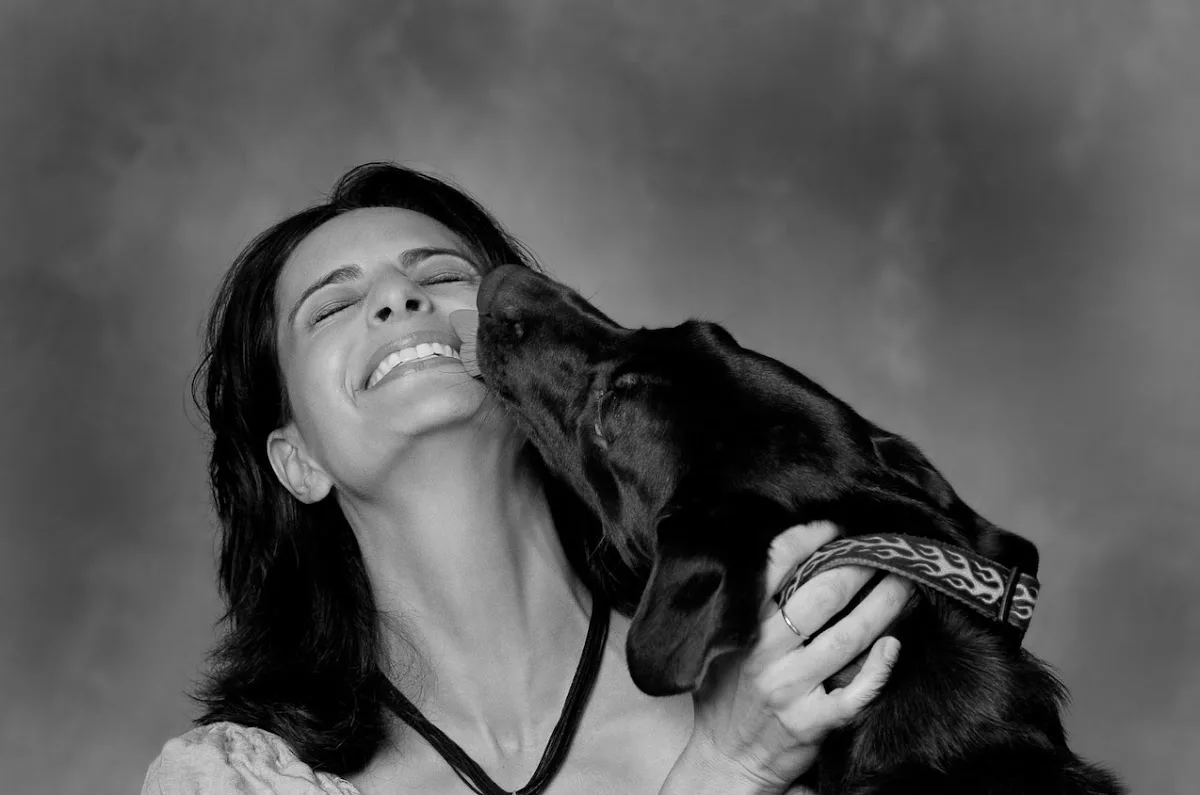 City of Angels Veterinary Specialty Center