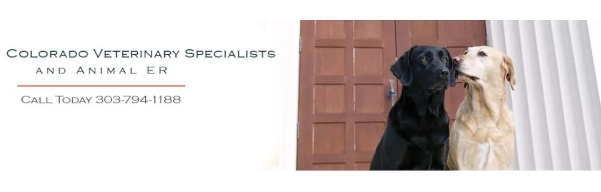 Colorado Veterinary Specialty Group