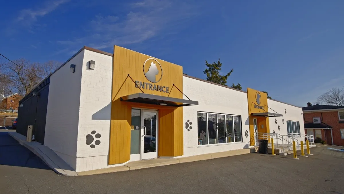 Columbia Pike Animal Hospital & Emergency Center