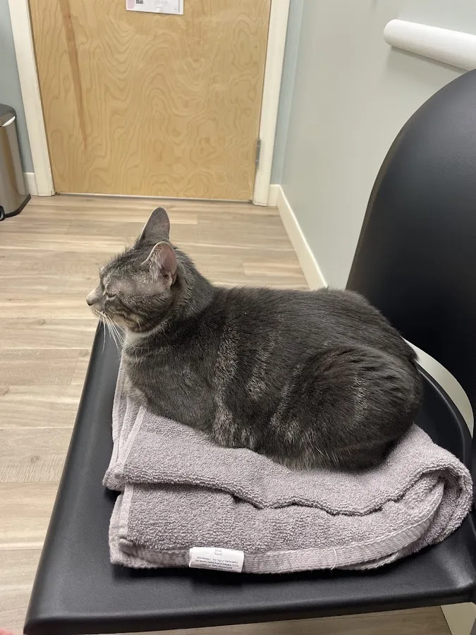 Community Pet Clinic