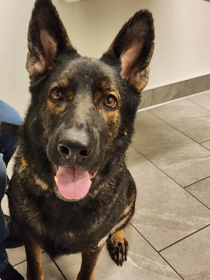 Como Park Animal Hospital and AfterHours Veterinary Care