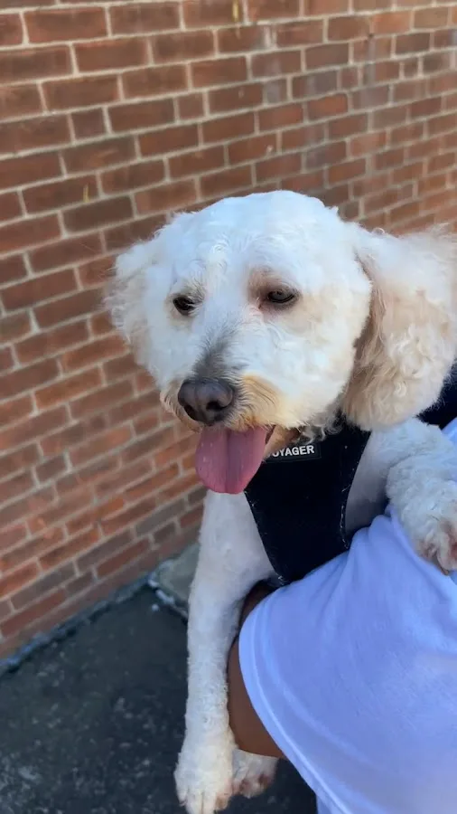 Connecticut Veterinary Center