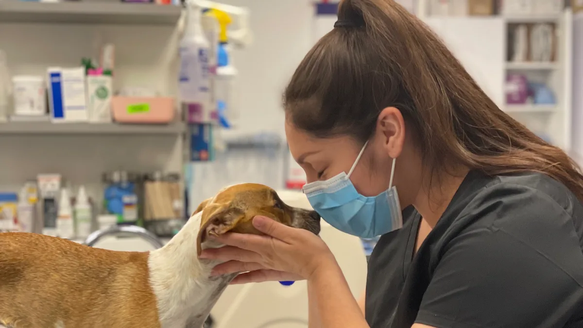 Corona Animal Emergency Center primary photo