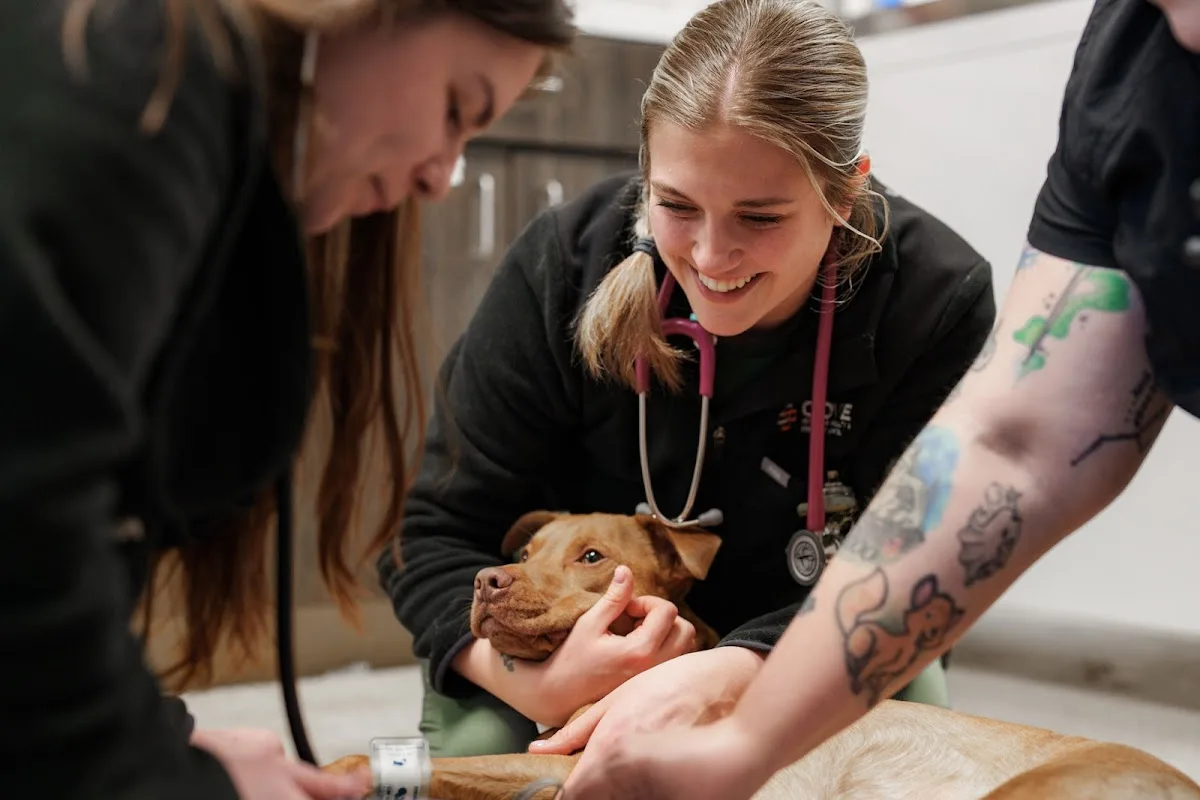 COVE Pet Care - Delaware