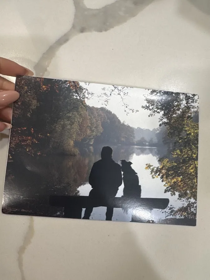 Delta Veterinary Hospital - Animal Emergency