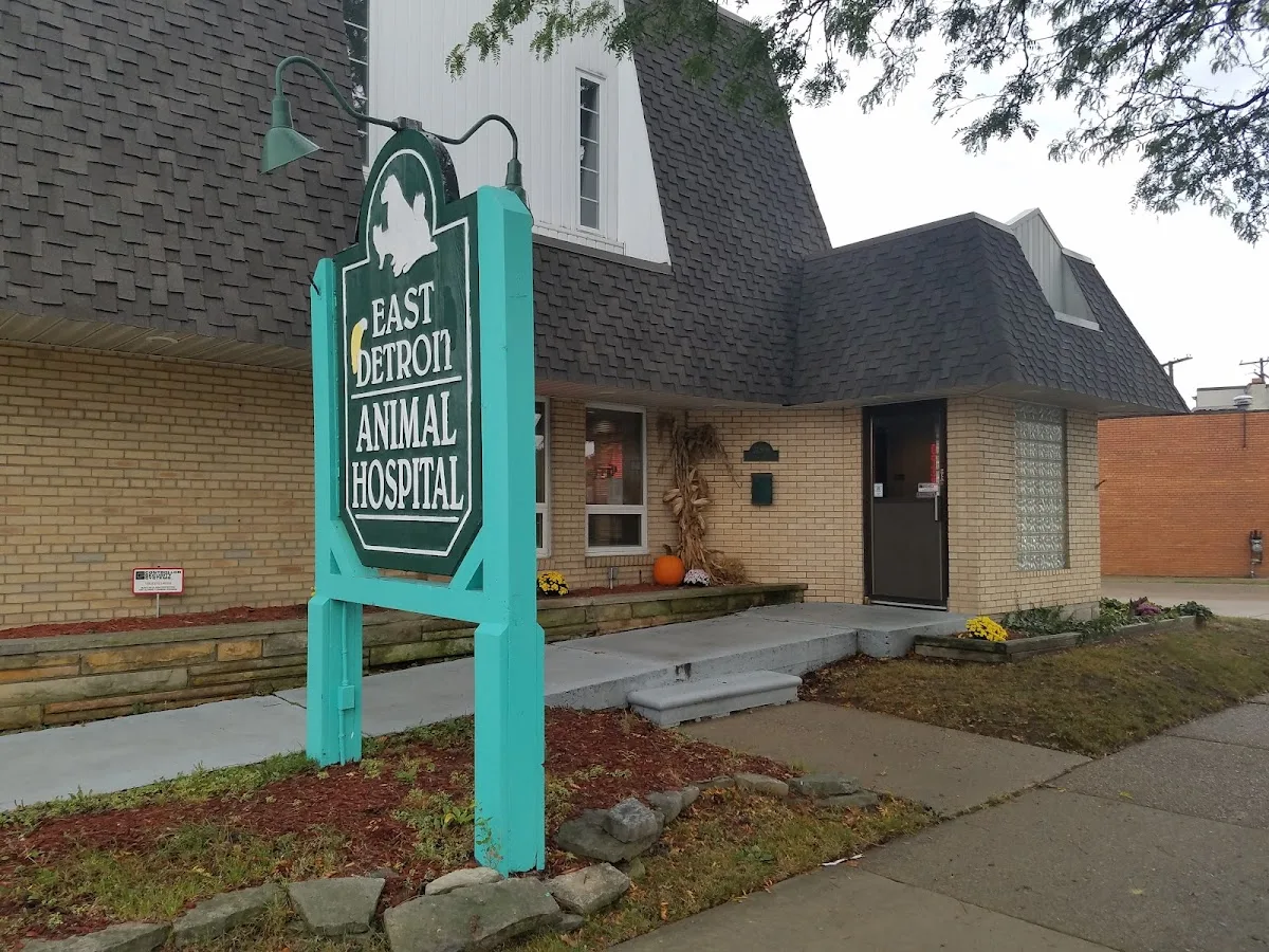 Detroit Animal Hospital