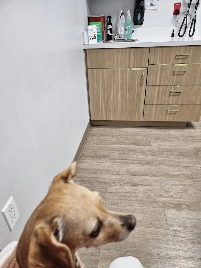 Doral Centre Animal Hospital