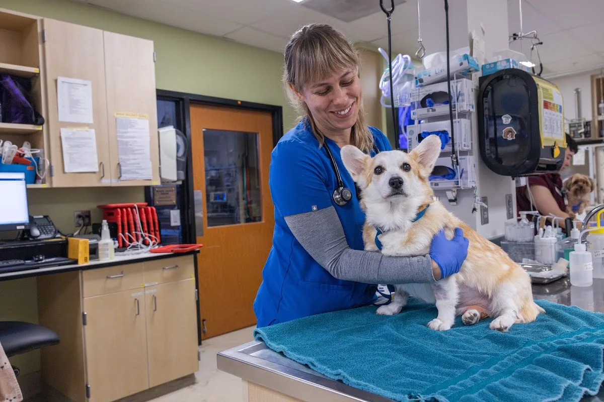 DoveLewis 24/7 Veterinary Emergency Hospital