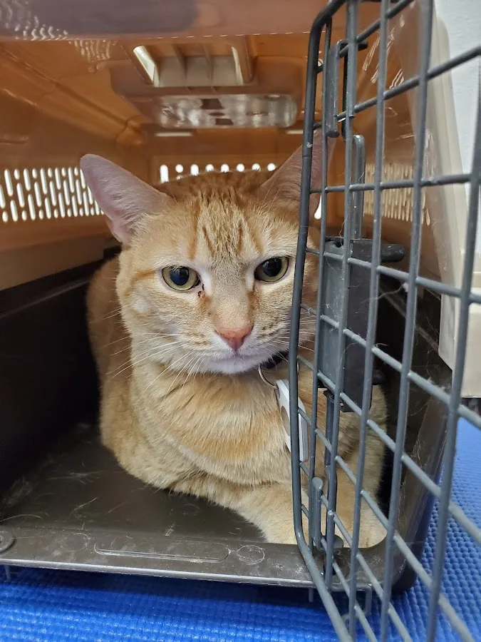 Dr. Barbara E. Kitchell, DVM primary photo