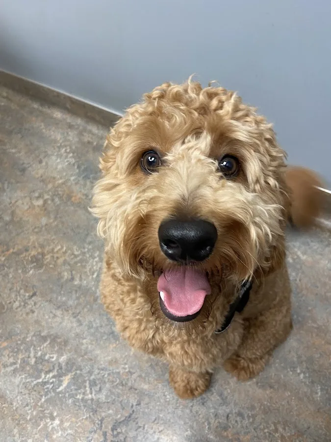 Dr. James Himmelberg, DVM