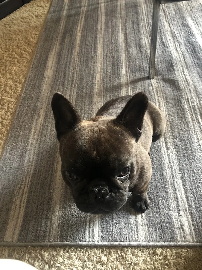 Dr. James Himmelberg, DVM