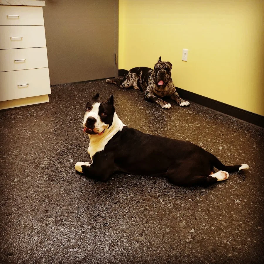 Dr.Litkovitz Robert DVM