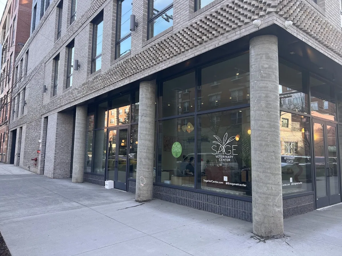 Dr. Michele Balacich, D.V.M.