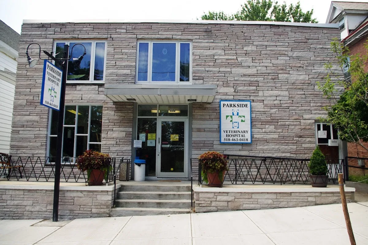 Dr. Nina Caires in Albany, NY: What to Expect When Your Pet Needs Emergency Care