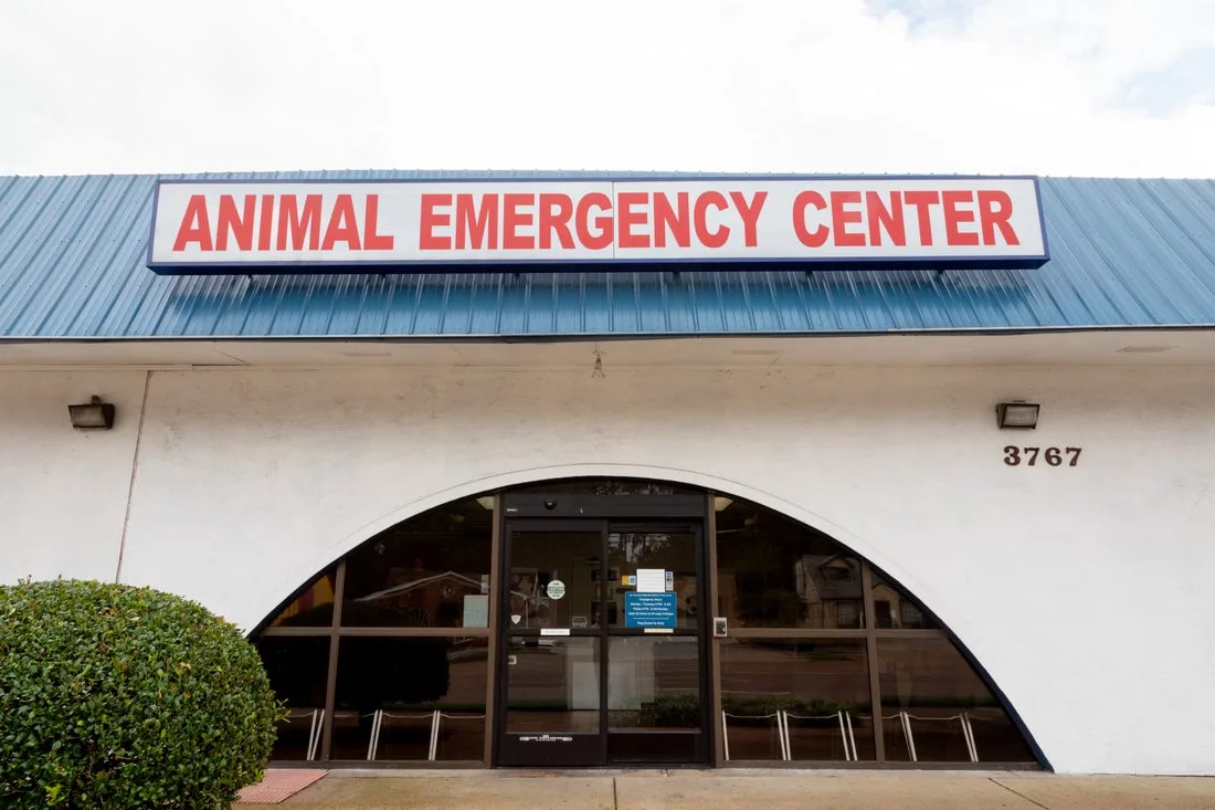 East Park Animal Hospital