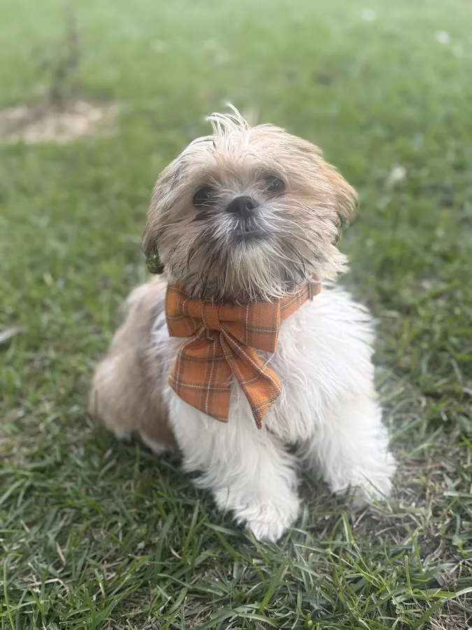 East Park Animal Hospital