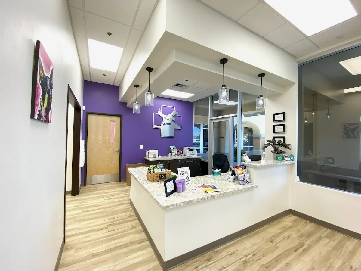 East Valley Urgent Pet Care