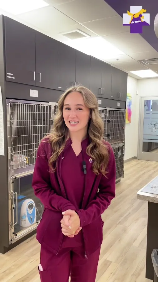 East Valley Urgent Pet Care