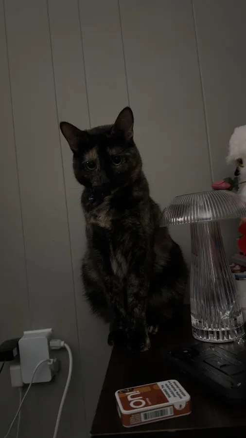 Eastern Pennsylvania Veterinary Medical Center