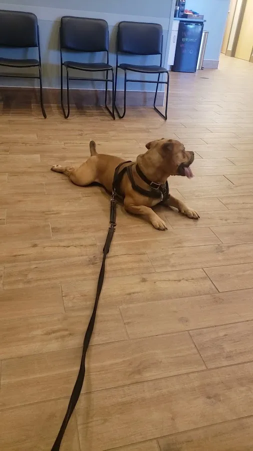 Eastern Pennsylvania Veterinary Medical Center