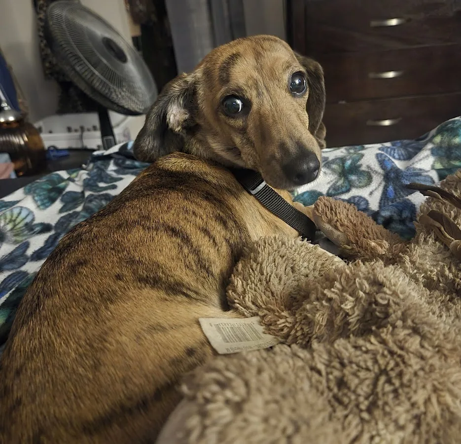 Eastmoor Animal Clinic