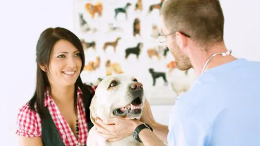 Eastmoor Animal Clinic