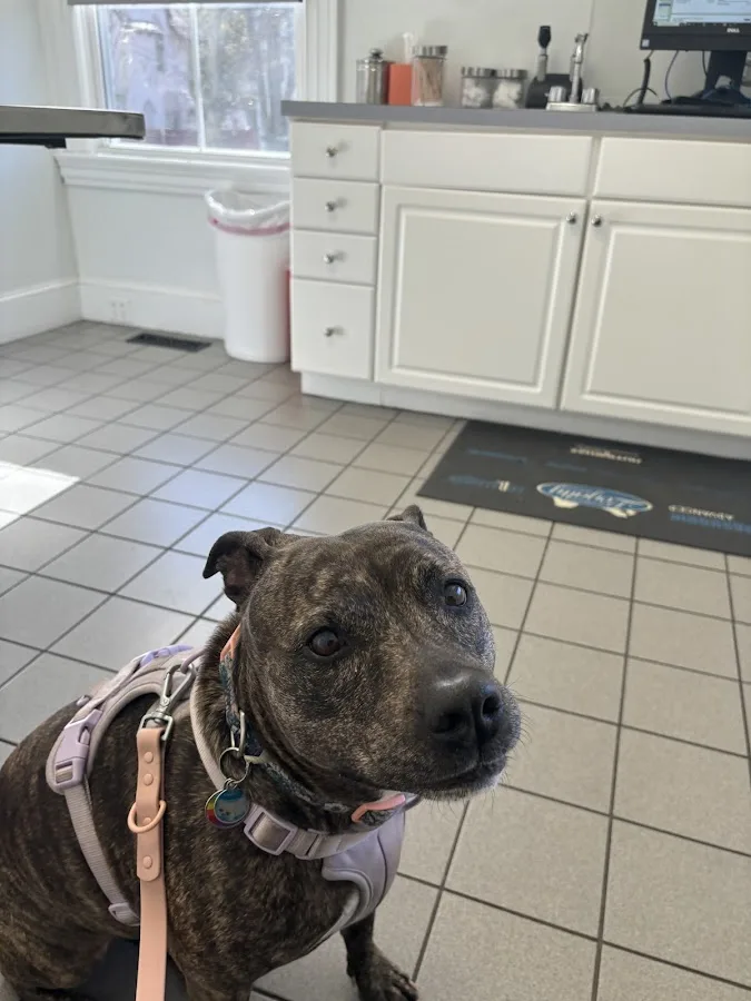 Eastside Veterinary Clinic