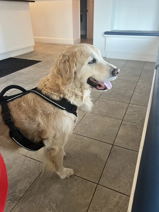 Eastside Veterinary Clinic