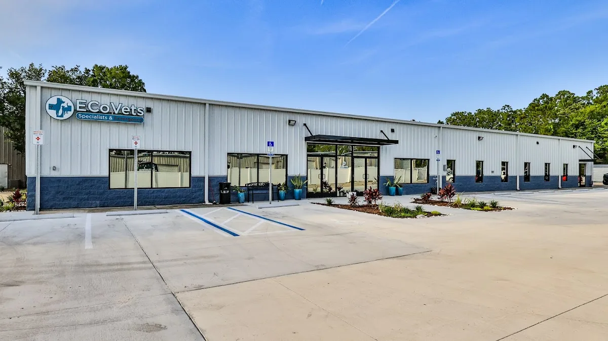 ECoVets Veterinary Specialists and Emergency