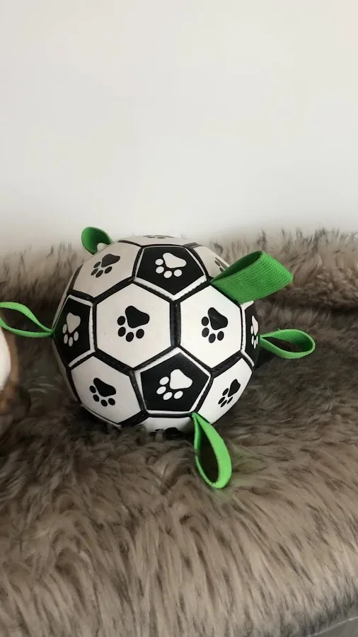 El Paso Animal Emergency Center