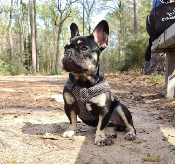 Emerald City Emergency Clinic