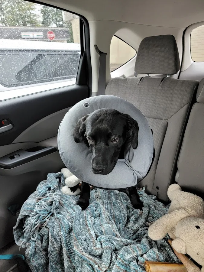 Emergency Veterinary Clinic of Tualatin