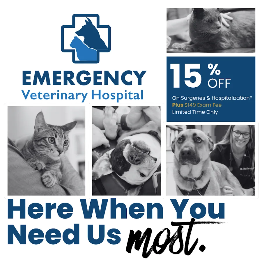 Emergency Veterinary Hospital