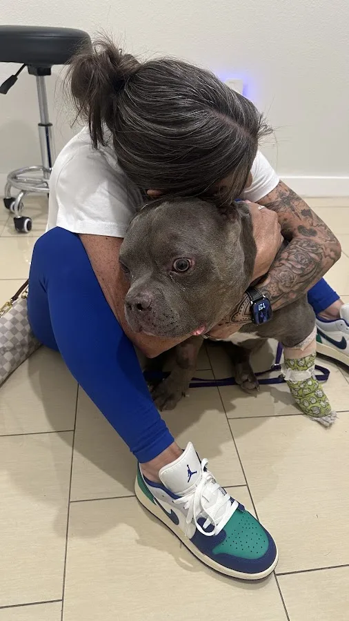 Epic Specialty & Emergency Pet Care - Tampa Pet ER