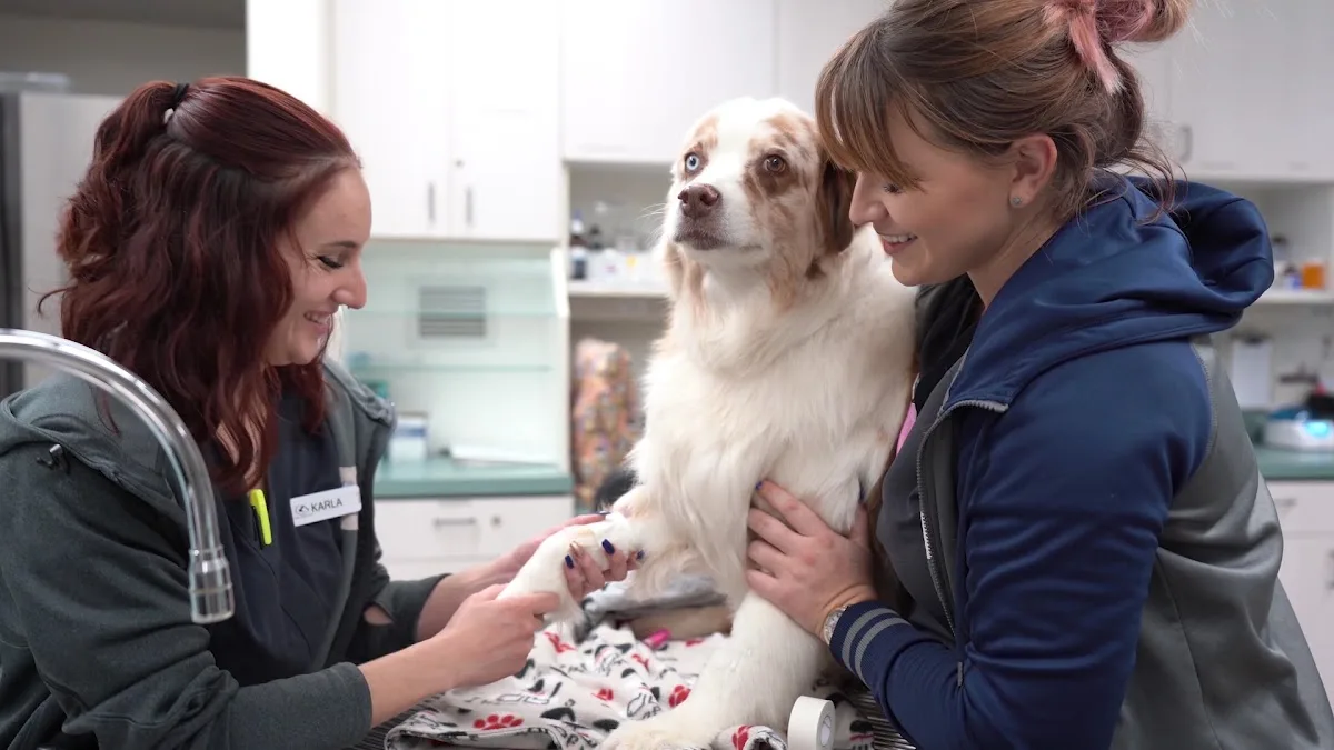 Escondido Veterinary Emergency