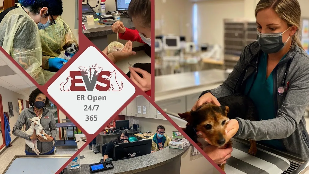 Evolution Veterinary Specialty and Emergency Hospital primary photo