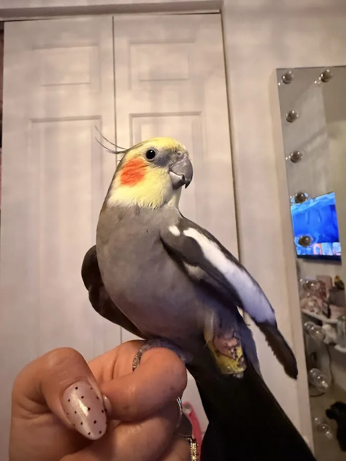 Family Pet Medical Center | 24/7 Animal Emergency & Wellness Care