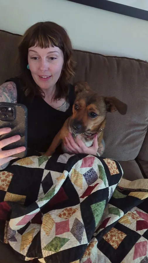 Fort Collins Veterinary Emergency Hospital