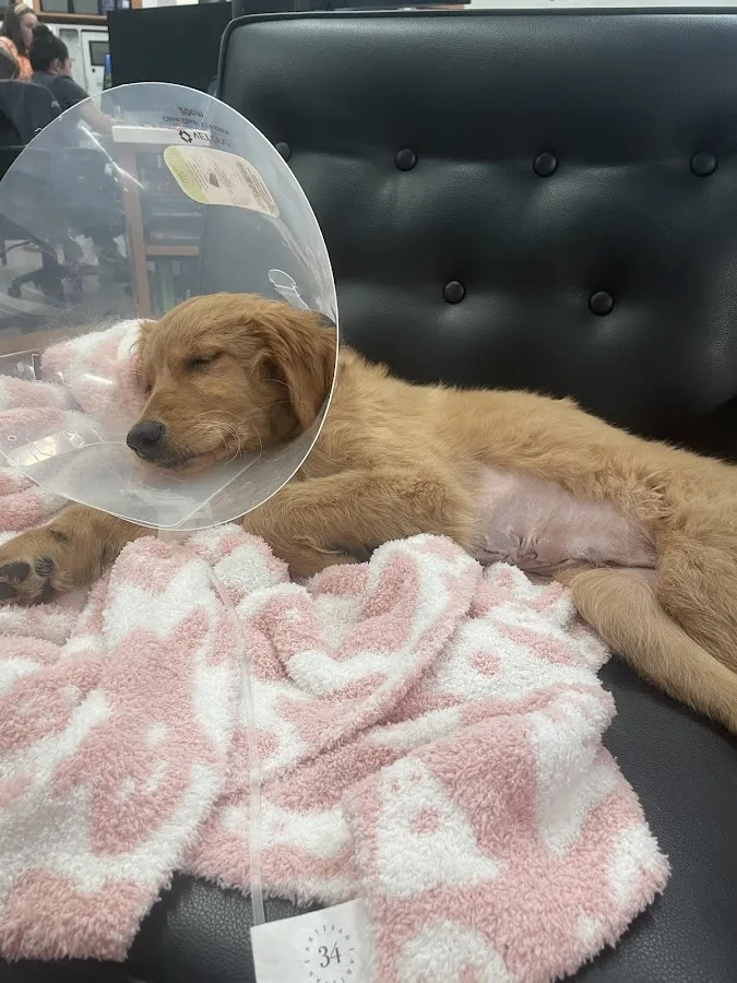 Fort Worth Animal Emergency Hospital