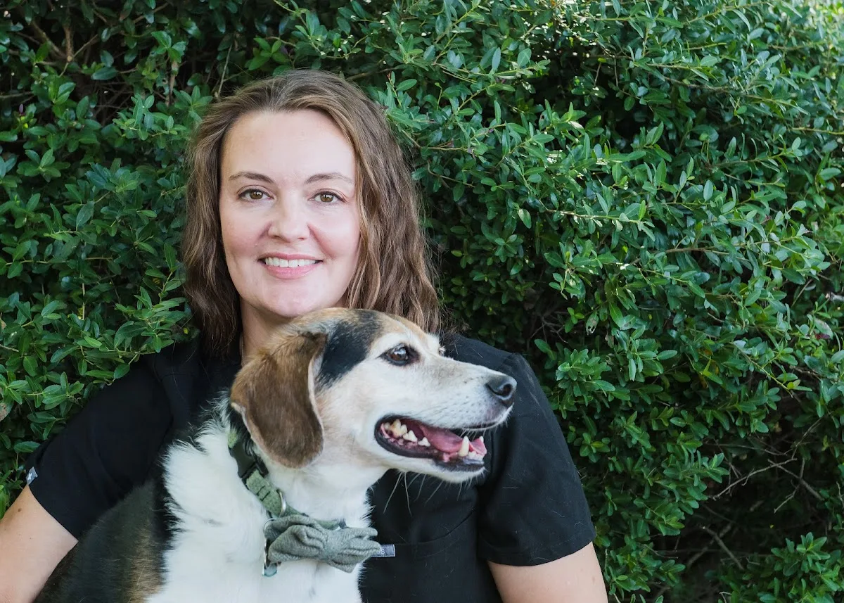 Ghent Veterinary Hospital