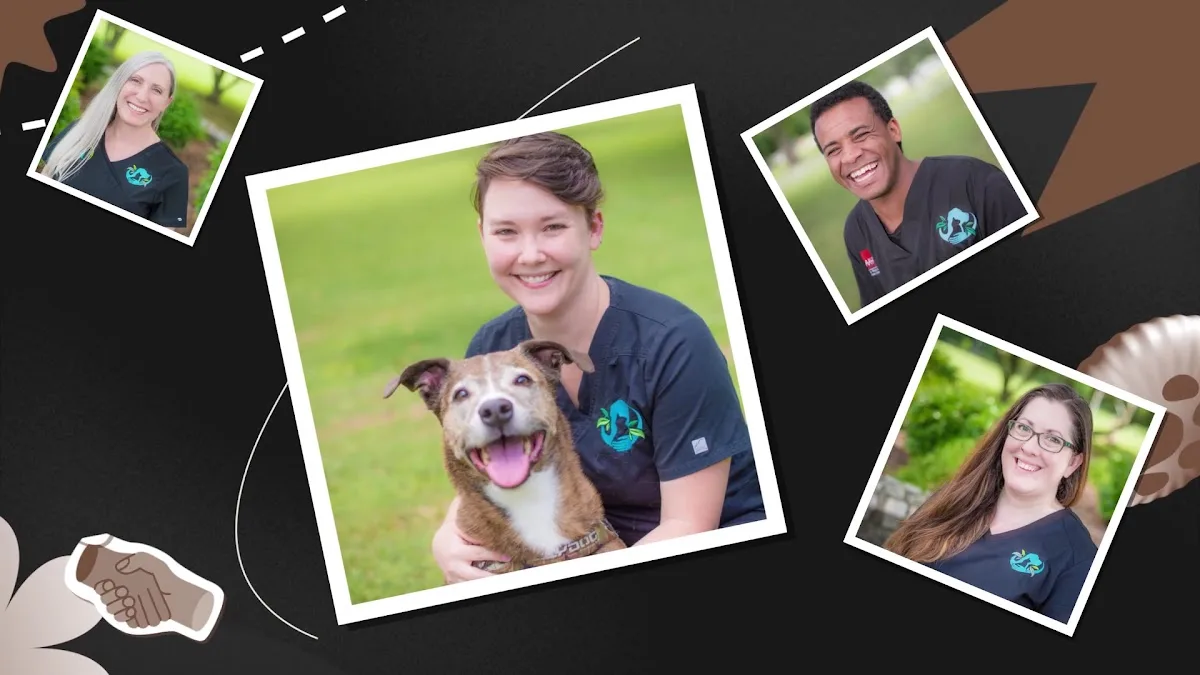 Ghent Veterinary Hospital