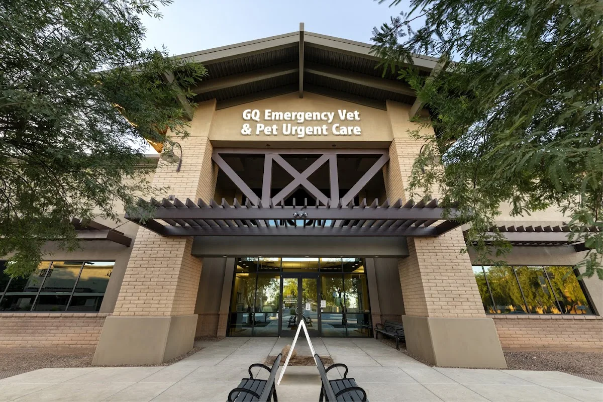 Gilbert Queen Creek Emergency Veterinarian & Pet Urgent Care primary photo