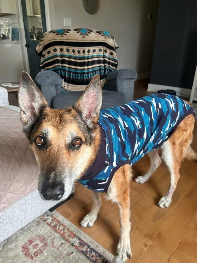 Grady Veterinary Hospital