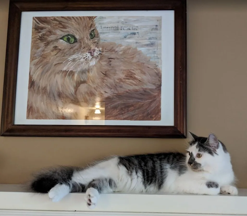 Green Mountain Animal Hospital Ltd: Murray Mark DVM