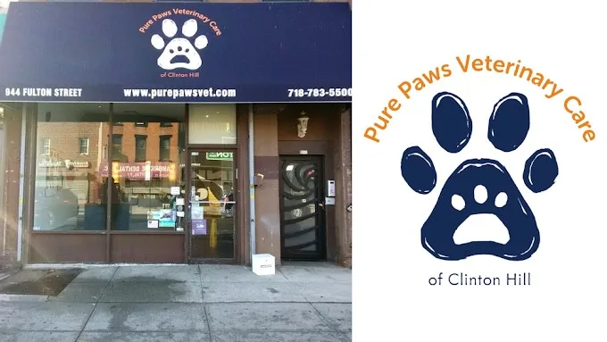 Greenpoint Vet Service