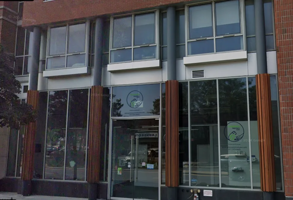 Pet owner preparing to transport a cat or dog safely